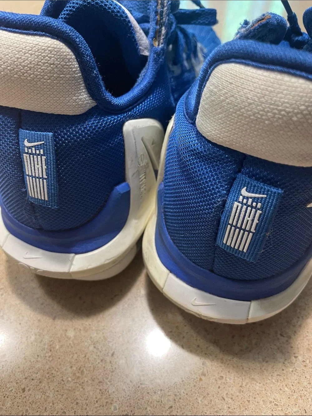 Nike Lebron Witness Kids Blue and White Athletic Sneakers